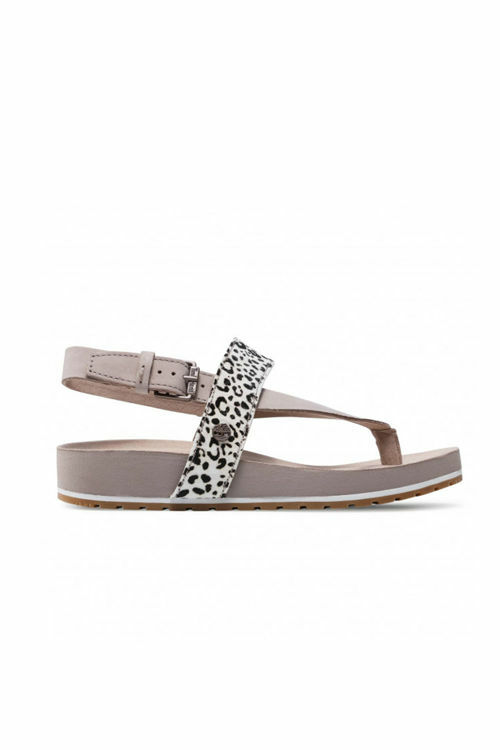 aktif-LEOPARD NUBUCK-TB0A23C7BX31-0002535_0